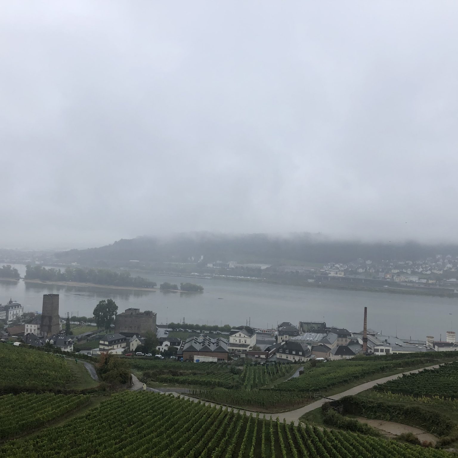 7 Things To Do In Rudesheim Germany Lifeatmyownpace 9888