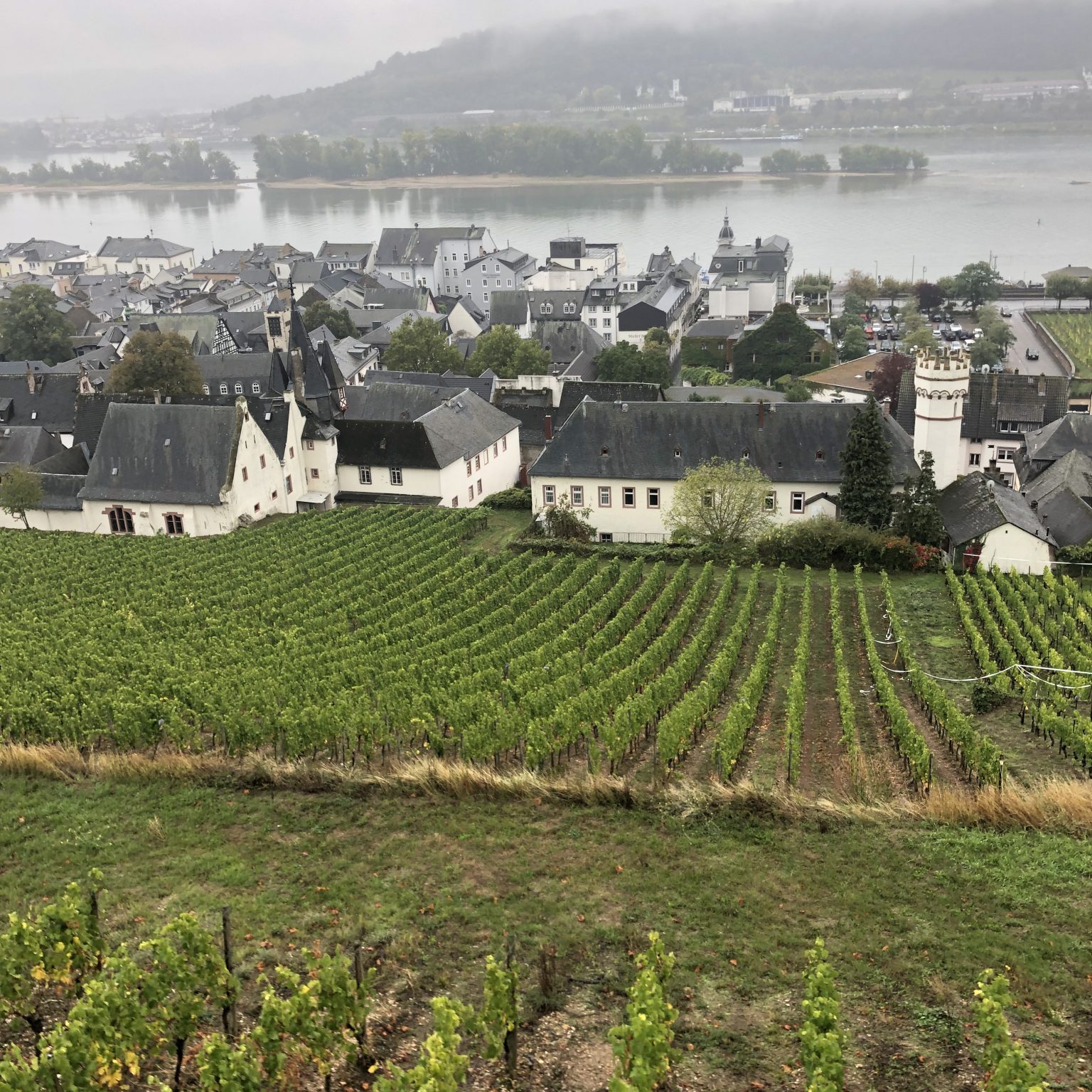 7 Things To Do In Rudesheim Germany Lifeatmyownpace 6952