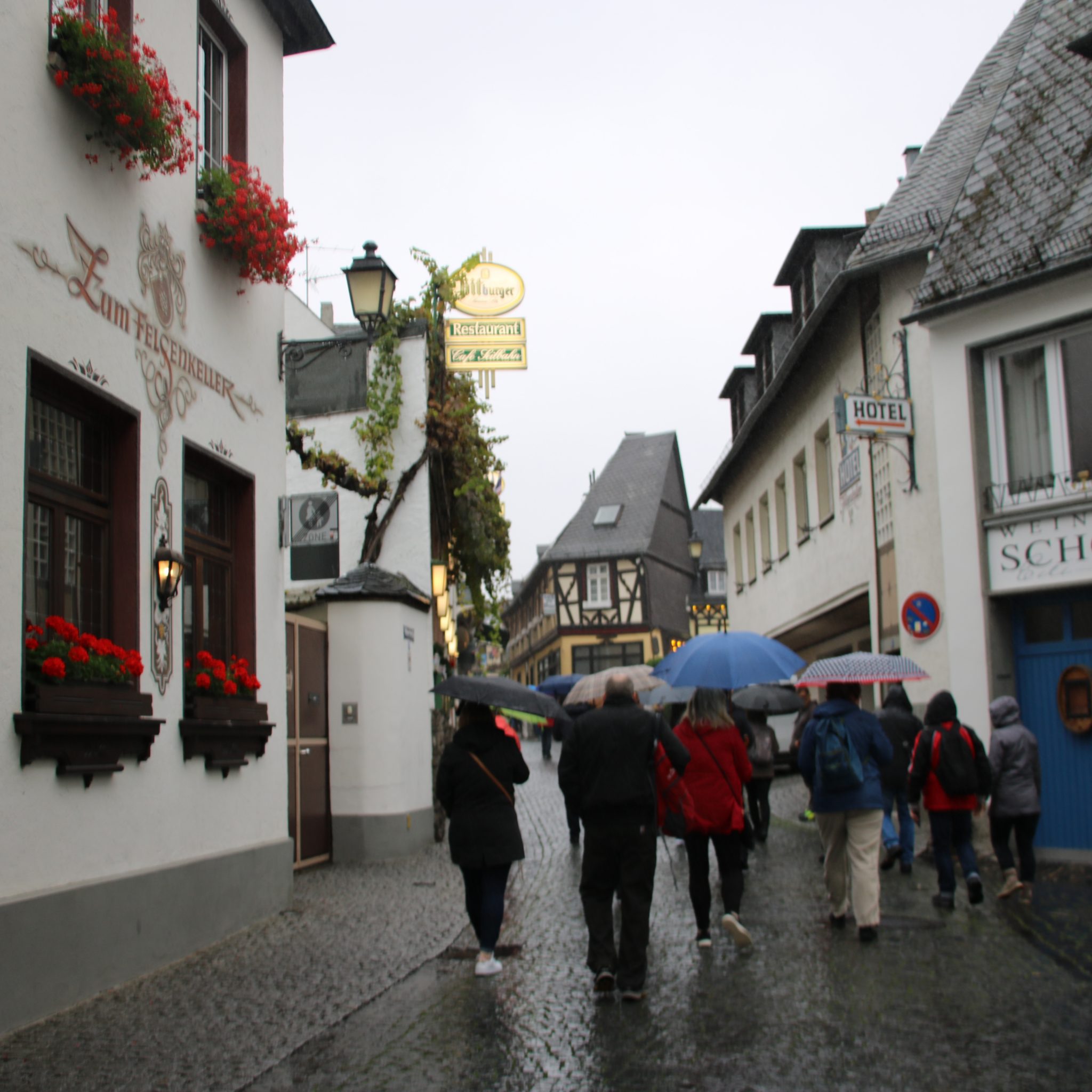 7 Things To Do In Rudesheim Germany Lifeatmyownpace 5978