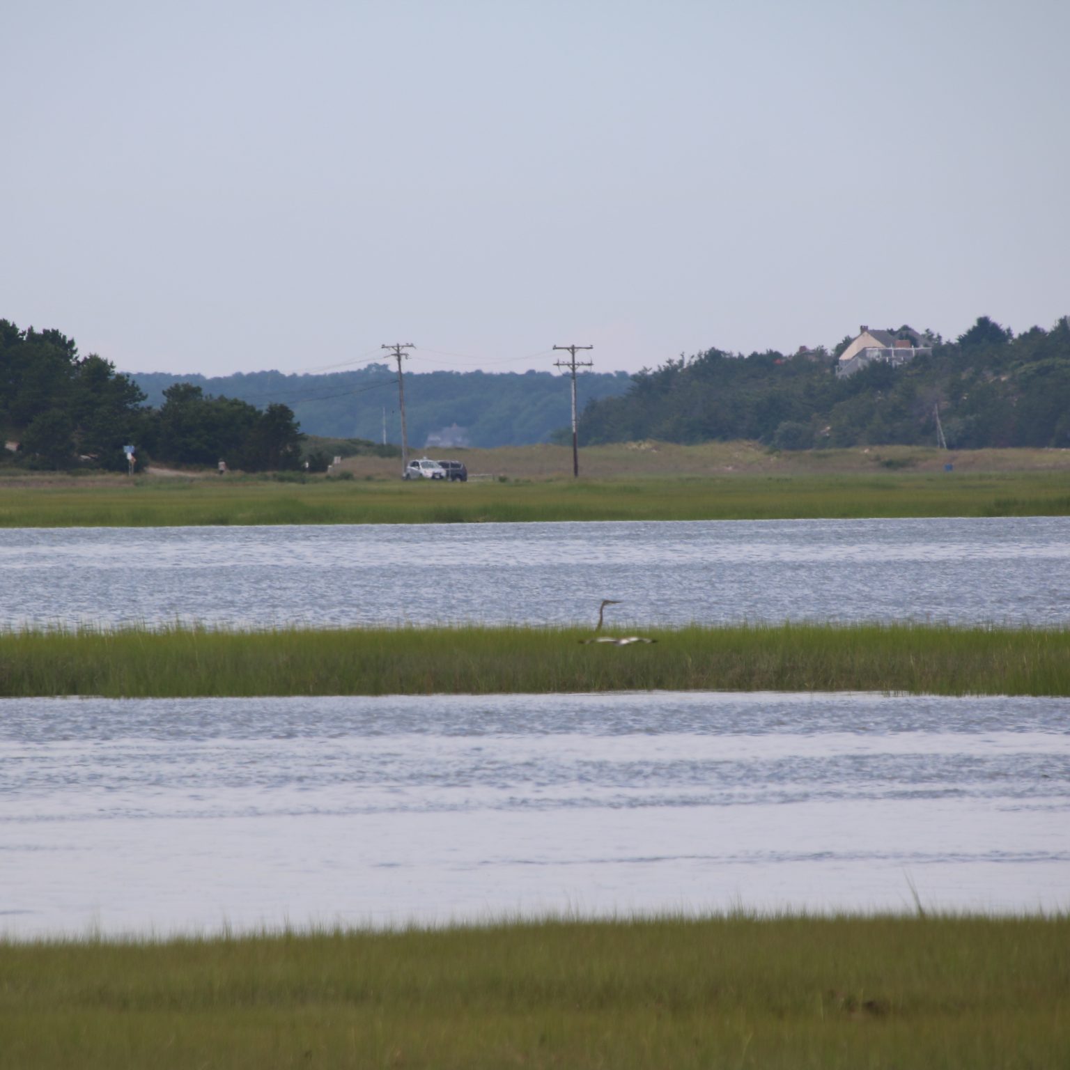 Off the Beaten Path Exploring Wellfleet Bay Wildlife Refuge ...