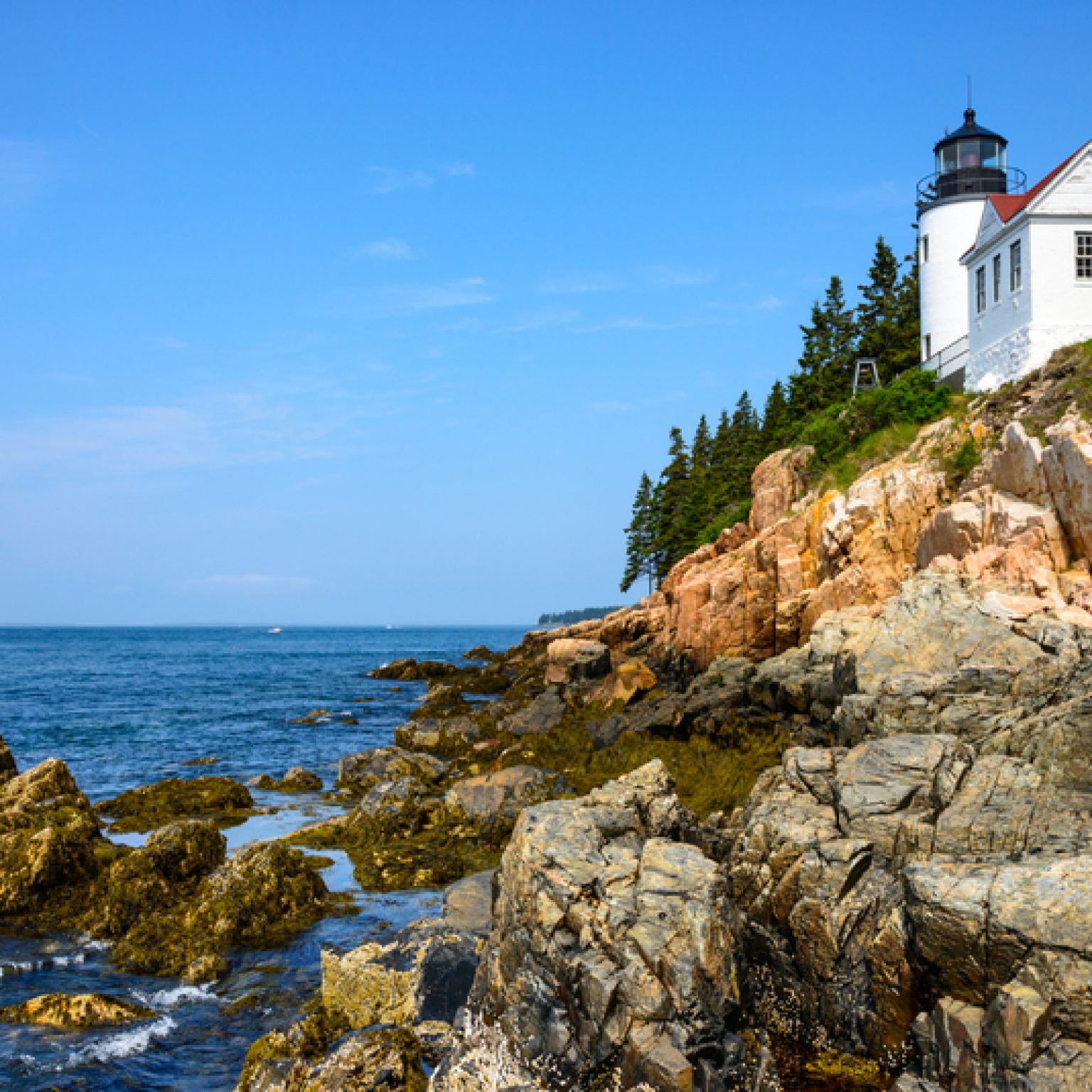 20 Things to do this Spring in New England | lifeatmyownpace