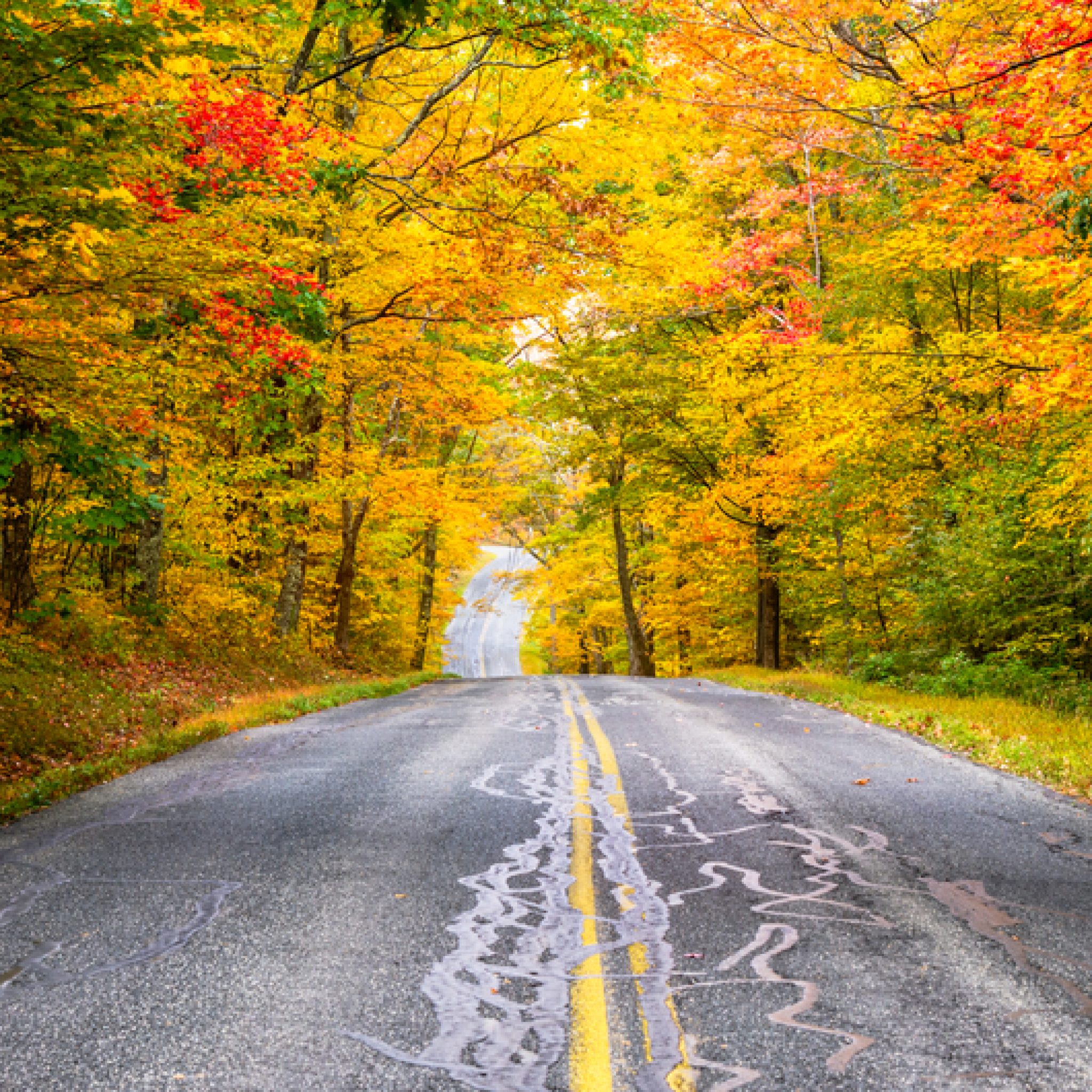 5 Amazing Fall Activities to do in Massachusetts | lifeatmyownpace